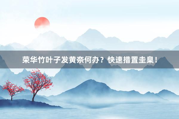 荣华竹叶子发黄奈何办？快速措置圭臬！