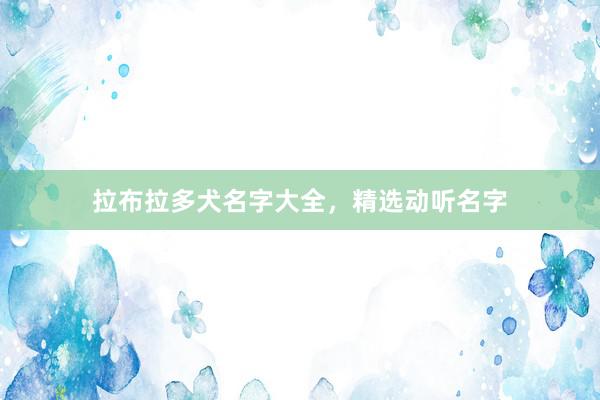拉布拉多犬名字大全，精选动听名字