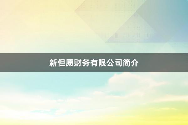 新但愿财务有限公司简介