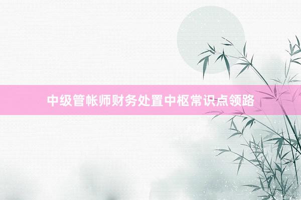 中级管帐师财务处置中枢常识点领路